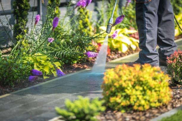 Best Restaurant Pressure Washing  in Bent, NE